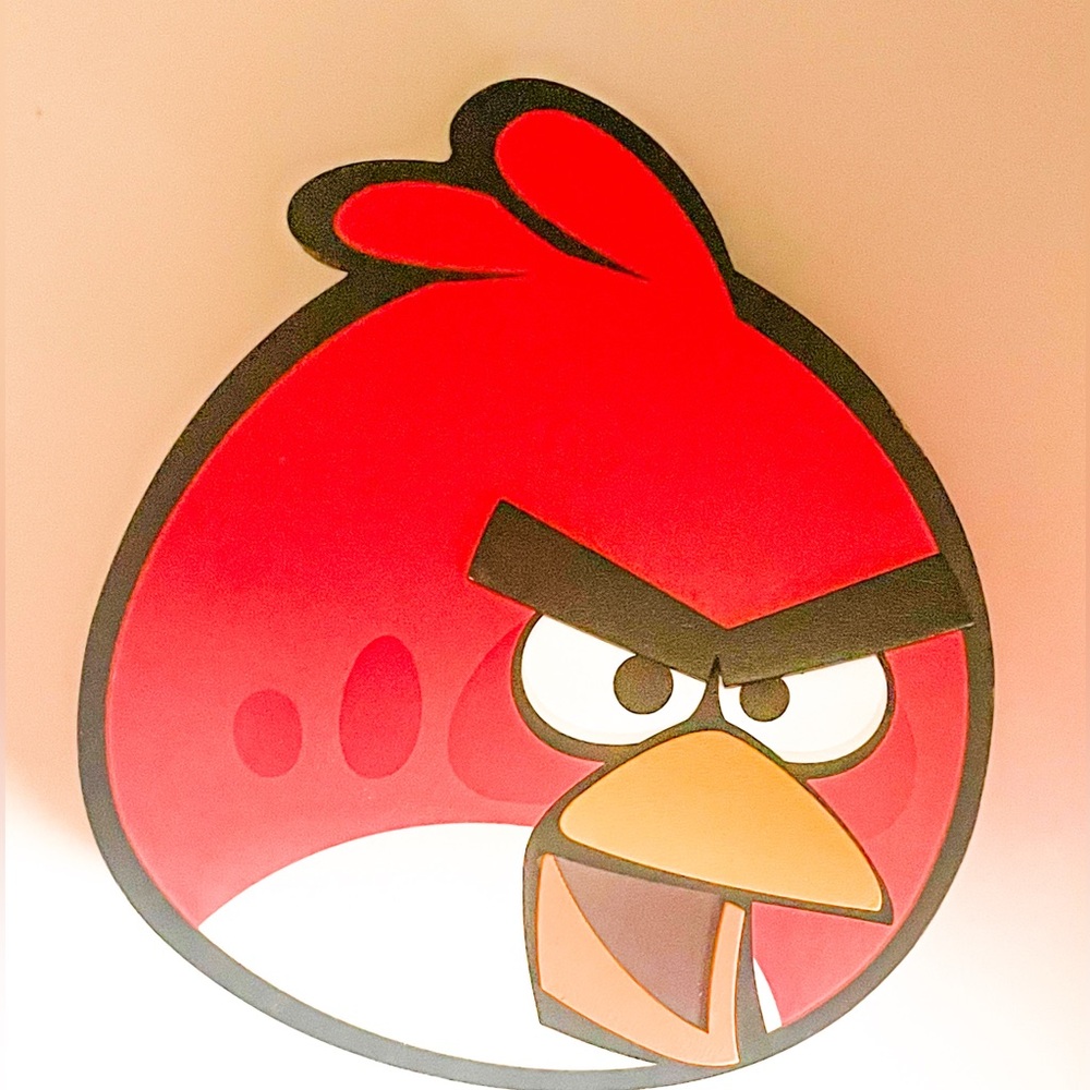Angry Bird Jewelry Storage Box With Mirror